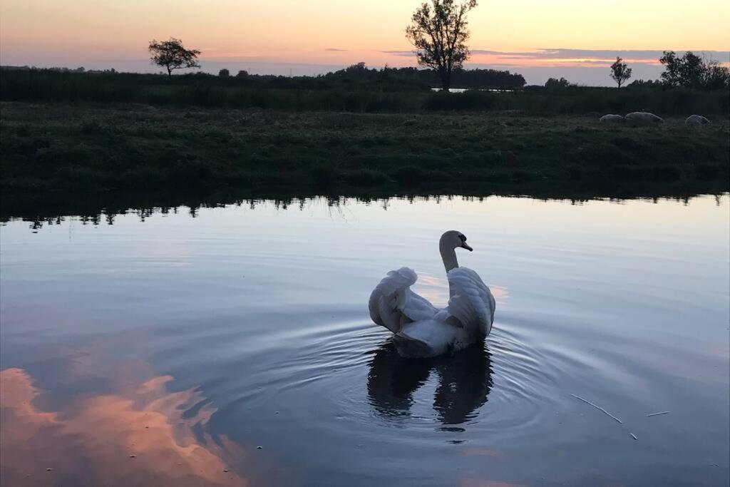 Romantic Dutch Hideaway Jisp Eksteriør billede