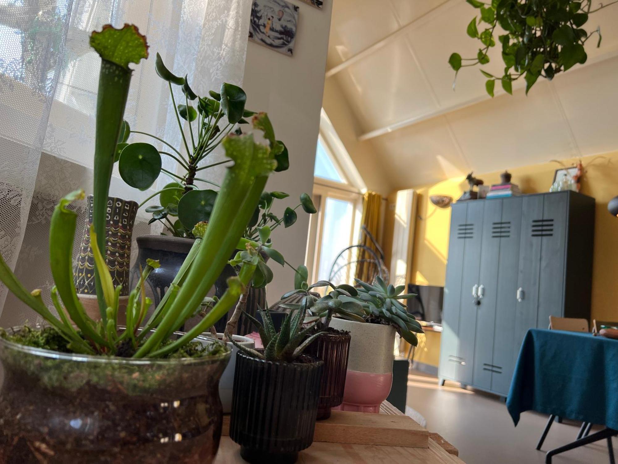 Romantic Dutch Hideaway Jisp Eksteriør billede